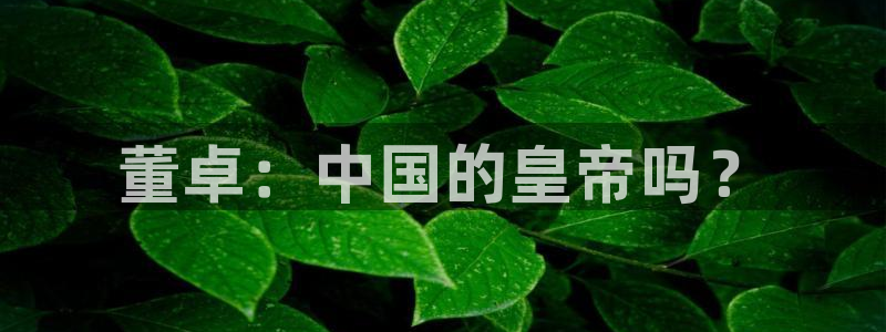 大王饶命包子漫画免费漫画：董卓：中国的皇帝吗？