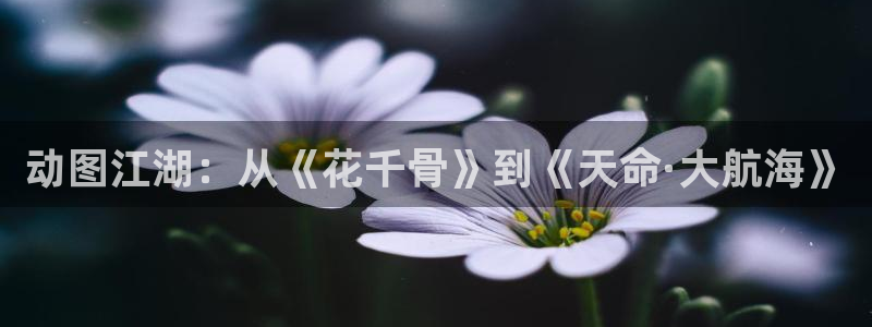 包子漫画最新：动图江湖：从《花千骨》到《天命·大航海》